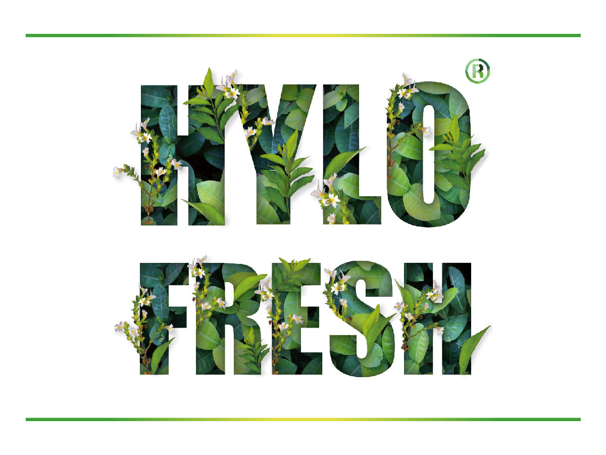 淚管閉塞去除眼膠|Hylo® Fresh新露潤眼液 Reich Pharm