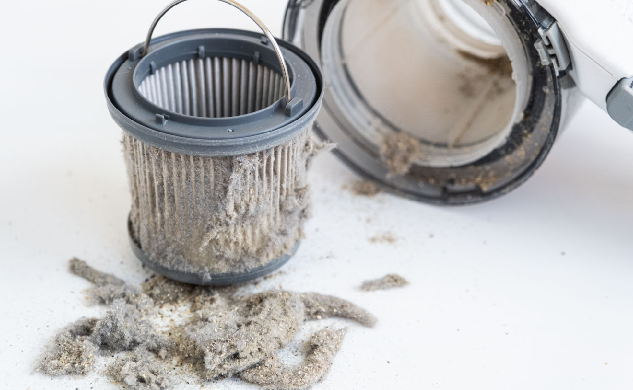 圖片中的吸塵器過濾器和灰塵展示了清潔的重要性。家庭環境中的灰塵可能引發濕疹，而保持環境乾淨有助於濕疹自然好。