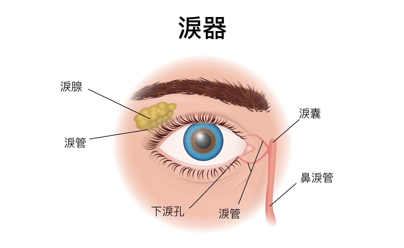 什麼是淚管阻塞？了解淚管阻塞原因！