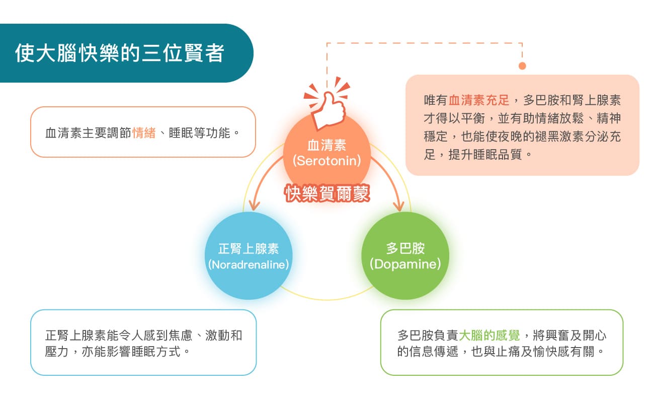 荷爾蒙的作用