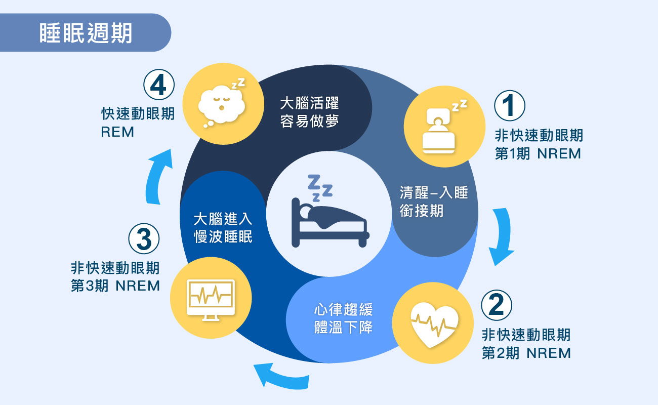 解答為什麼一直睡睡醒醒 - 睡眠週期圖說