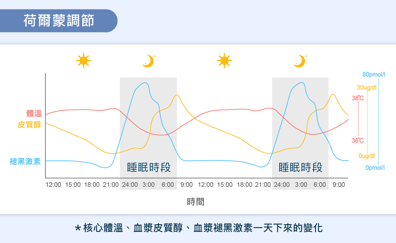 解答為什麼一直睡睡醒醒-賀爾蒙調節圖表