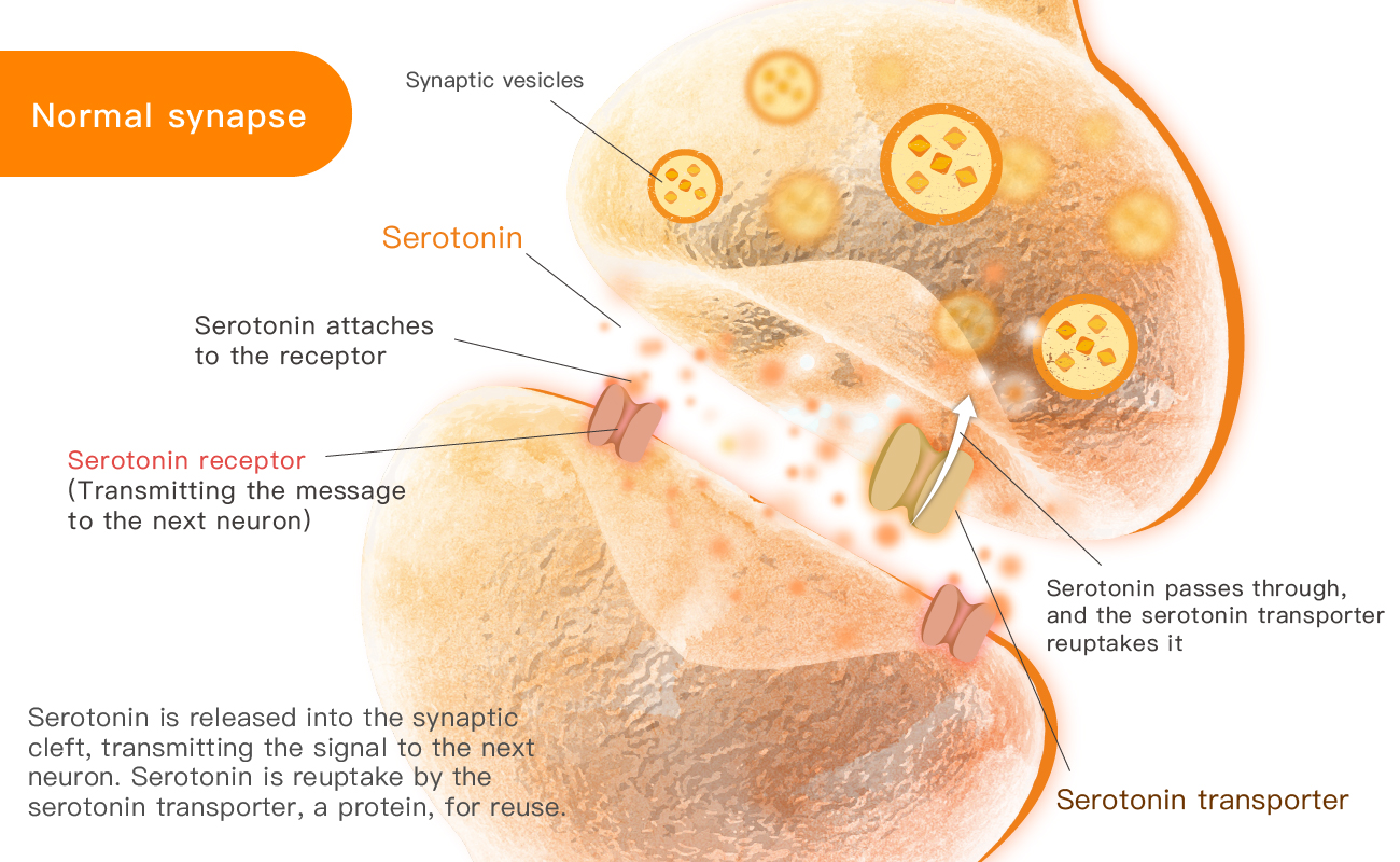 Dysregulation of Two Systems in Depressive Emotion