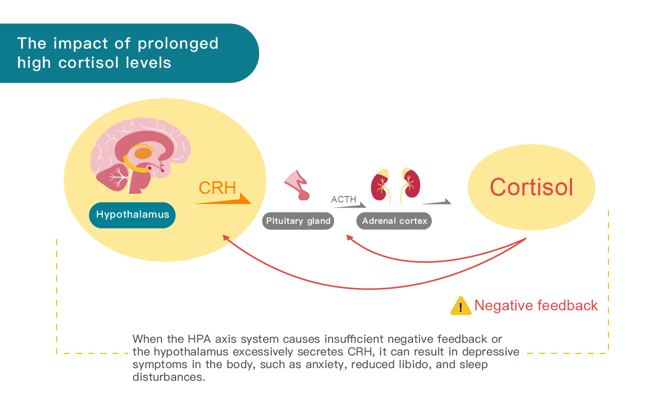 Overrelease of CRH