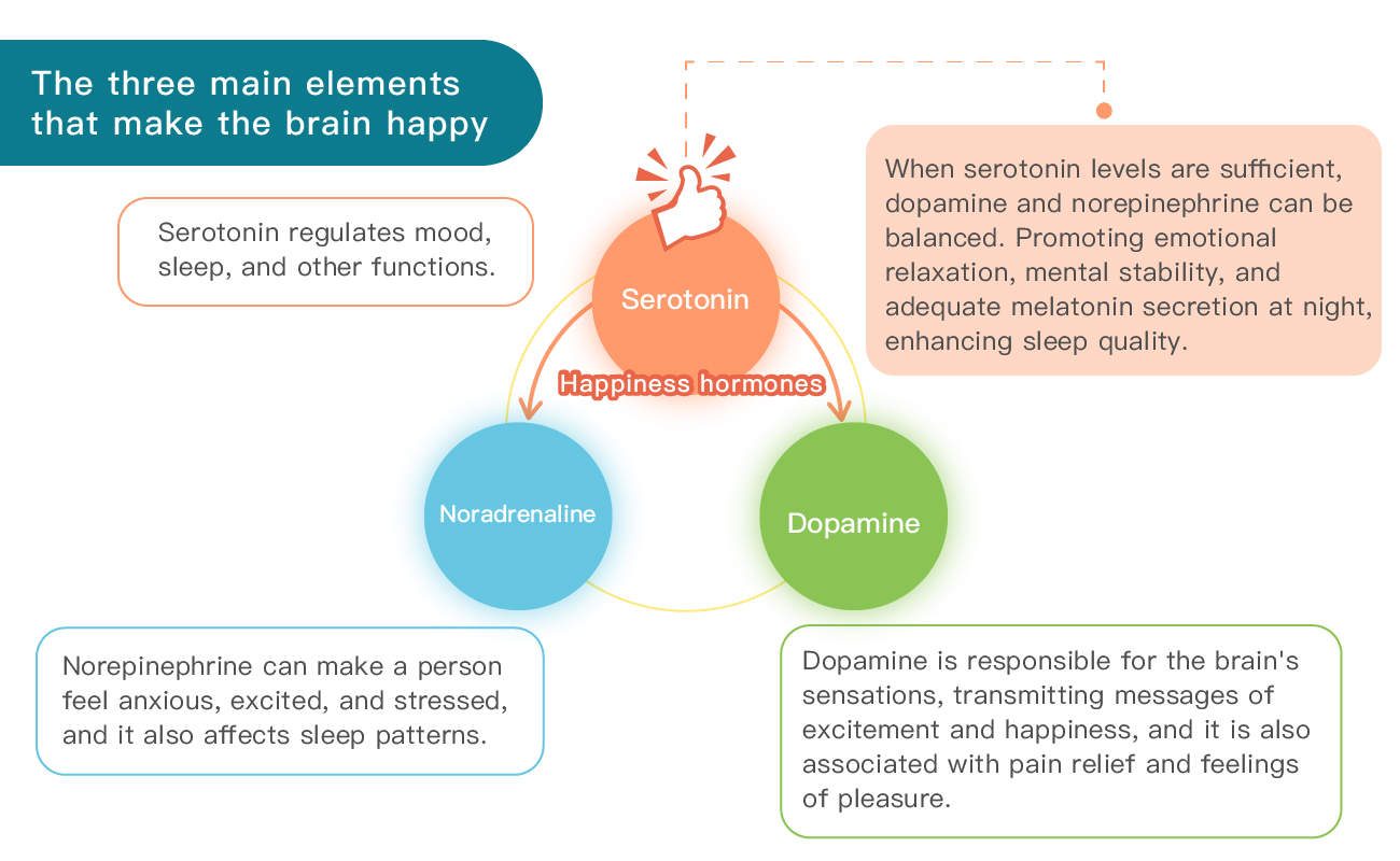 The Brain's Three Main Elements in Happiness