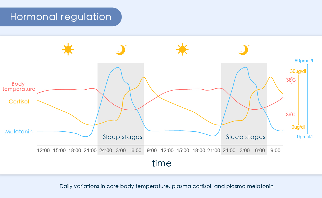 Hormonal Regulation