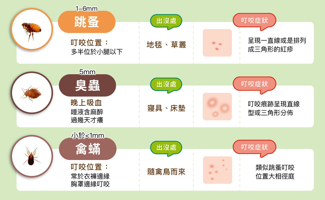 如何止痕癢
